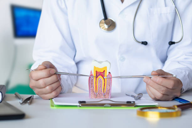 Best Orthodontic Emergency Dentist in Wentworth, NC